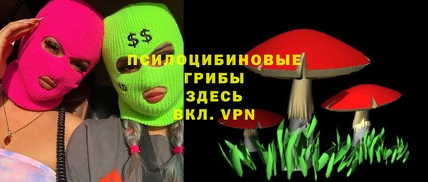 прущая мука Бронницы