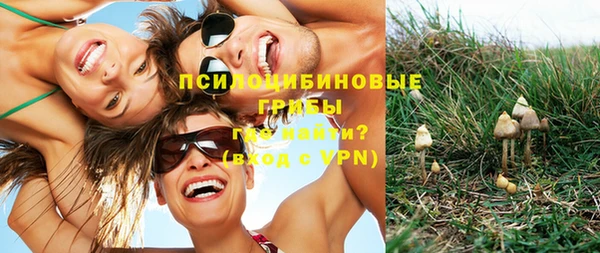 spice Бугульма