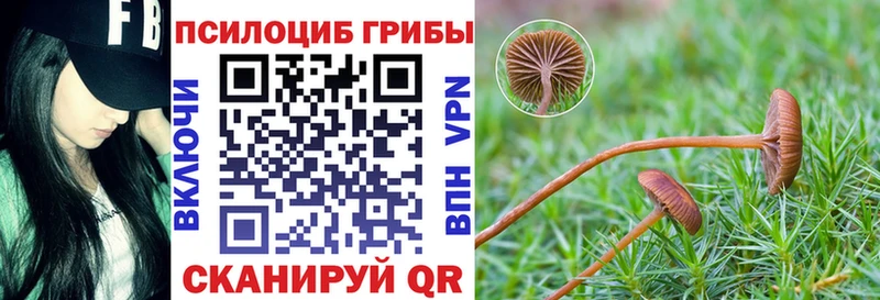 Галлюциногенные грибы Psilocybine cubensis  Венёв 